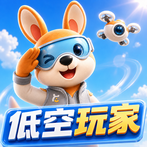 低空玩家自营店 logo